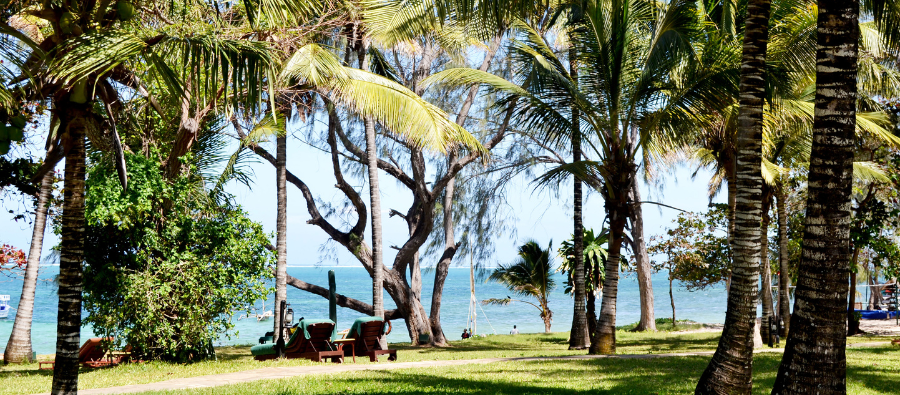 Hidden Gems: Mombasa  